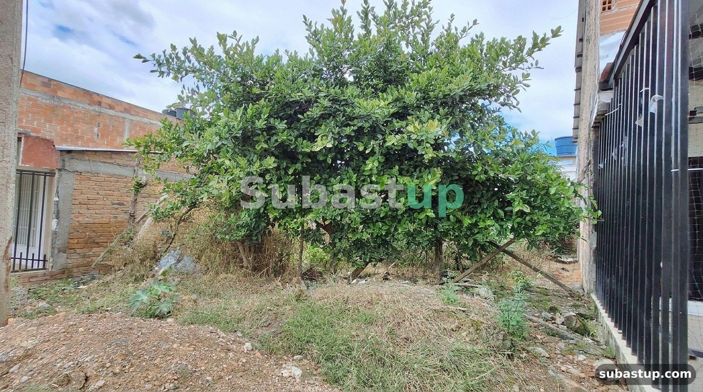 Lote 174 m² en Pitalito