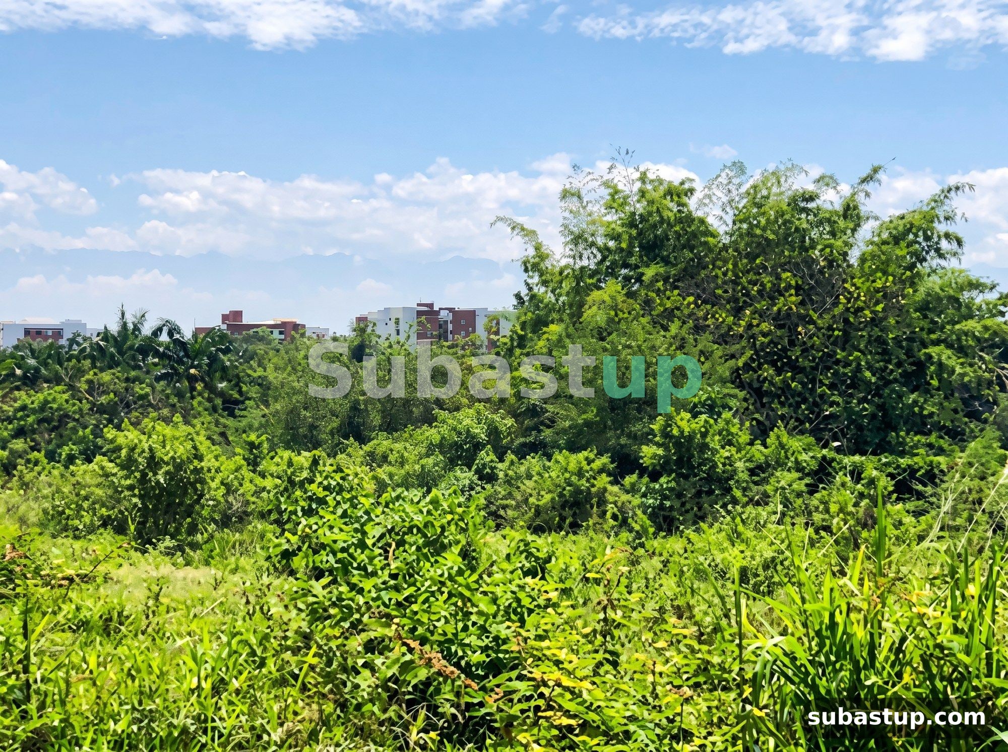 Lote 25.134 m² en Cali