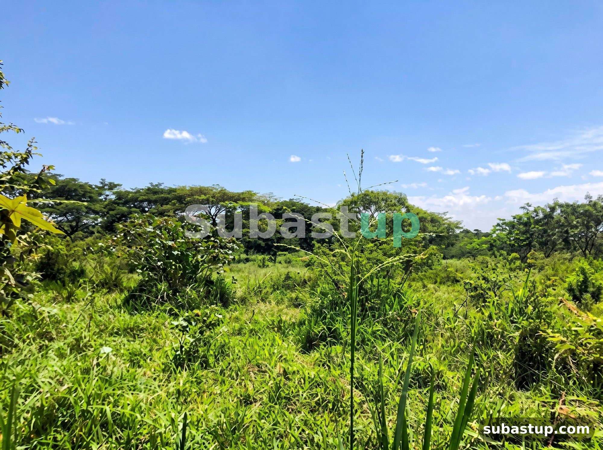 Lote 25.134 m² en Cali
